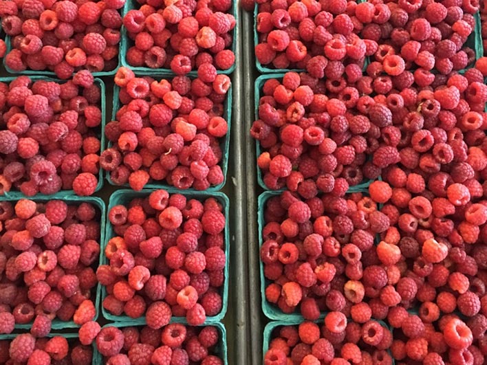 Johnson's Roadside Farm Market